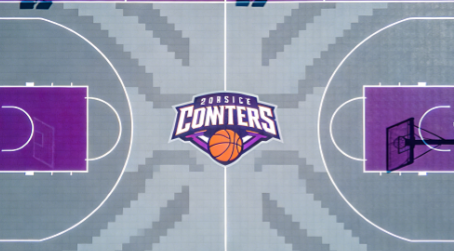 Customizable Logo 20X25 Feet Plastic Outdoor Basketball Court Floor - Reasonable Price Sports Flooring From China